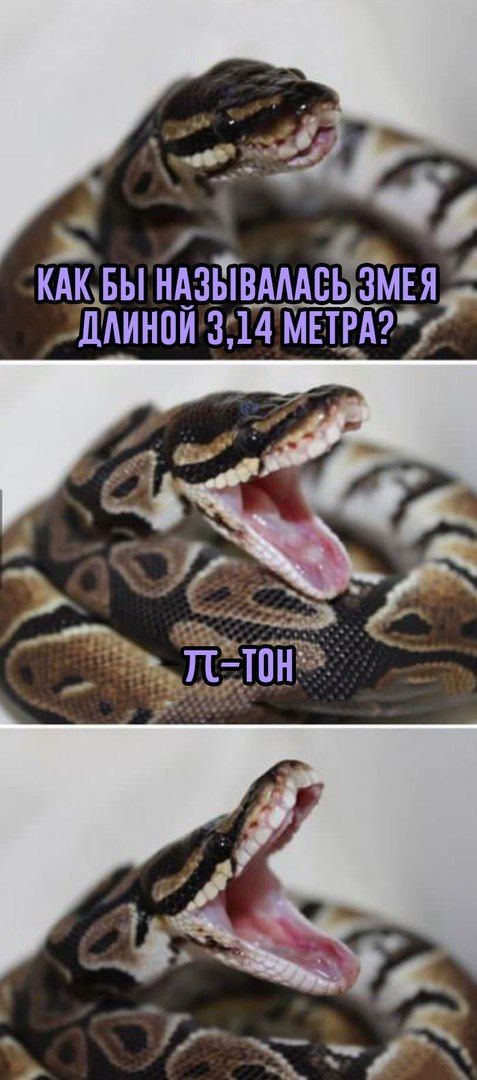 DMVQu8GXUAAp5Ux.jpg:large