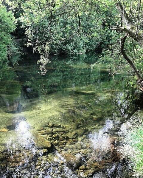 Hispalis136's tweet photo. #QuemanAsturias 
#QuemanGalicia 
El #Hispalis136 seguirá educando en el respeto a nuestros bosques y raíces. #Scout
¿Qué vas a hacer tú? https://t.co/MsMPLJ9iL6