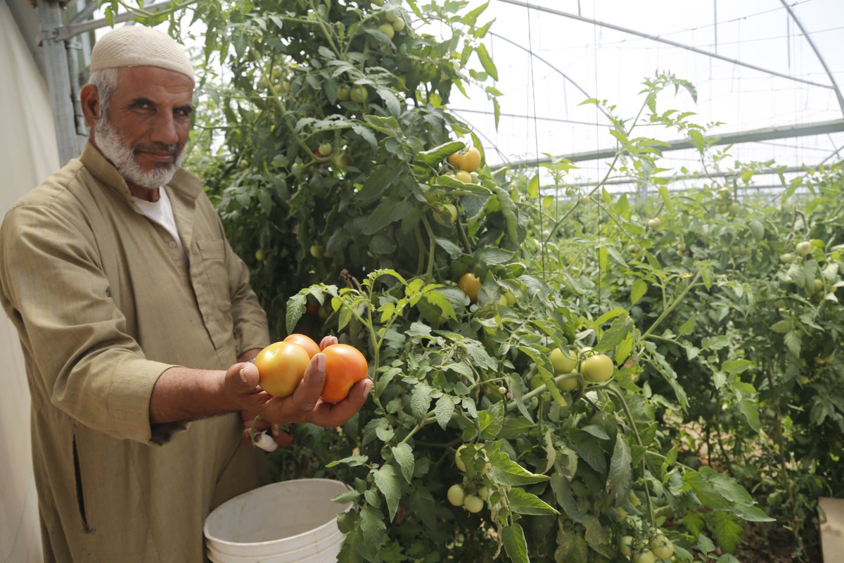 Gcdg7288's tweet image. #UNDP works with partners effectively through #Economic_Empowerment Program to contribute in #poverty_reduction
#Empowered_families
#Gaza