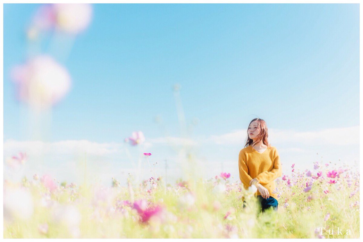 chuka_chuka3's tweet photo. やっぱコスモスが1番(´∇｀)

#ファインダー越しの私の世界
#コスモス https://t.co/WX36co6M9A