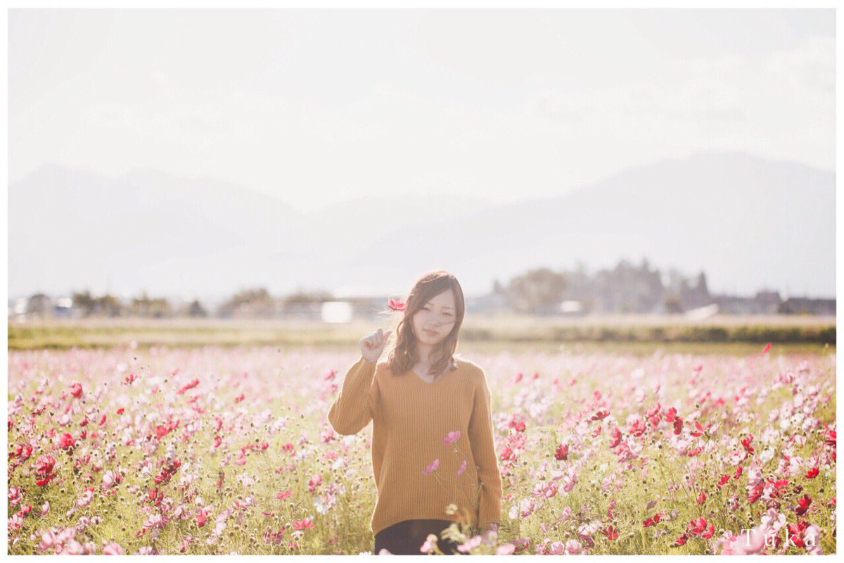 chuka_chuka3's tweet photo. やっぱコスモスが1番(´∇｀)

#ファインダー越しの私の世界
#コスモス https://t.co/WX36co6M9A