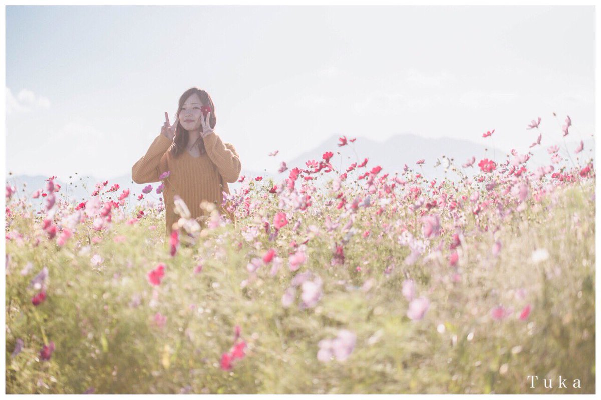chuka_chuka3's tweet photo. やっぱコスモスが1番(´∇｀)

#ファインダー越しの私の世界
#コスモス https://t.co/WX36co6M9A