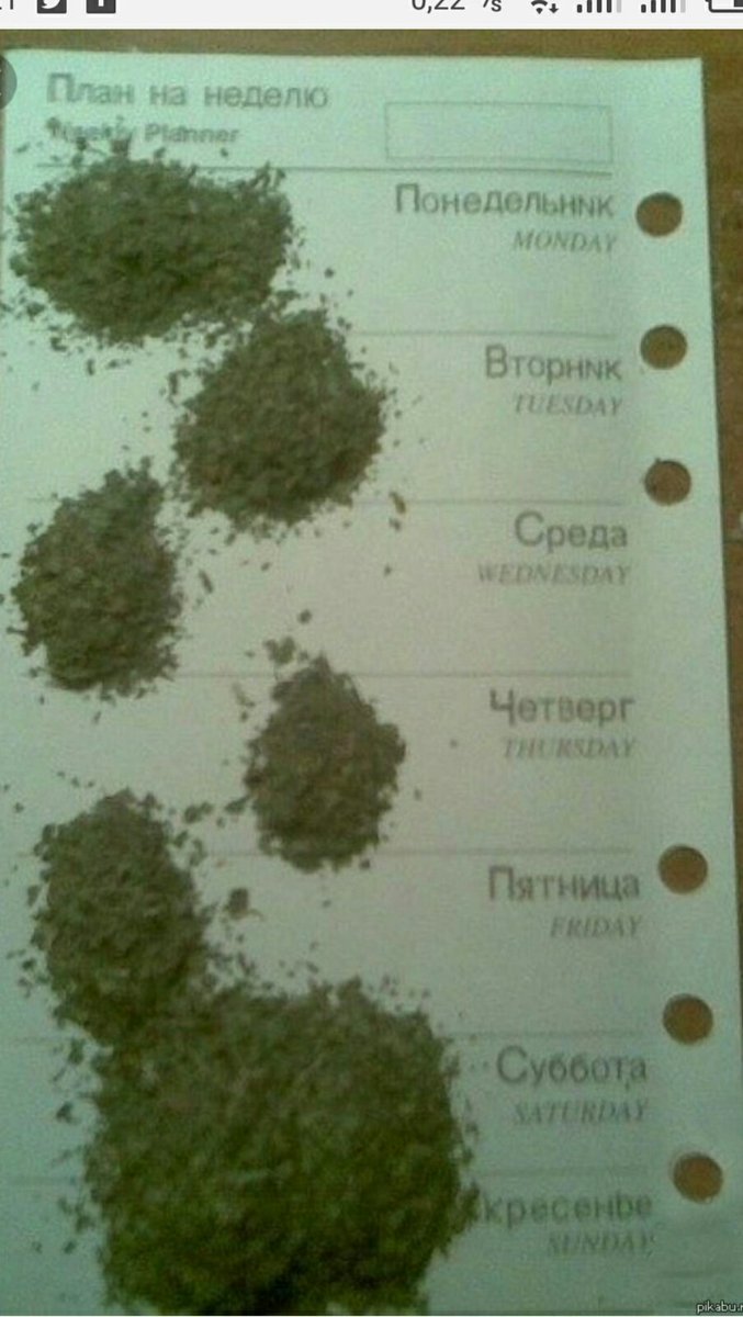 План на неделю прикол