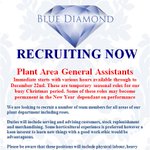 Photo by Blue Diamond Careers (@BlueDiamondJobs)