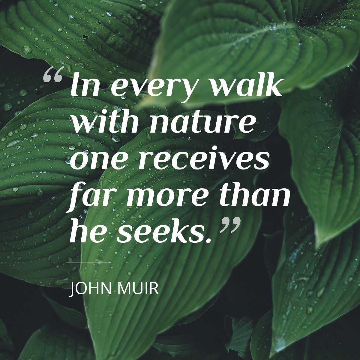 QualityEarth's tweet photo. We totally agree with JM 😊🌿🌍 #naturelovers #naturalcosmetics https://t.co/Iv33ne715d https://t.co/u6EncXIu8G
