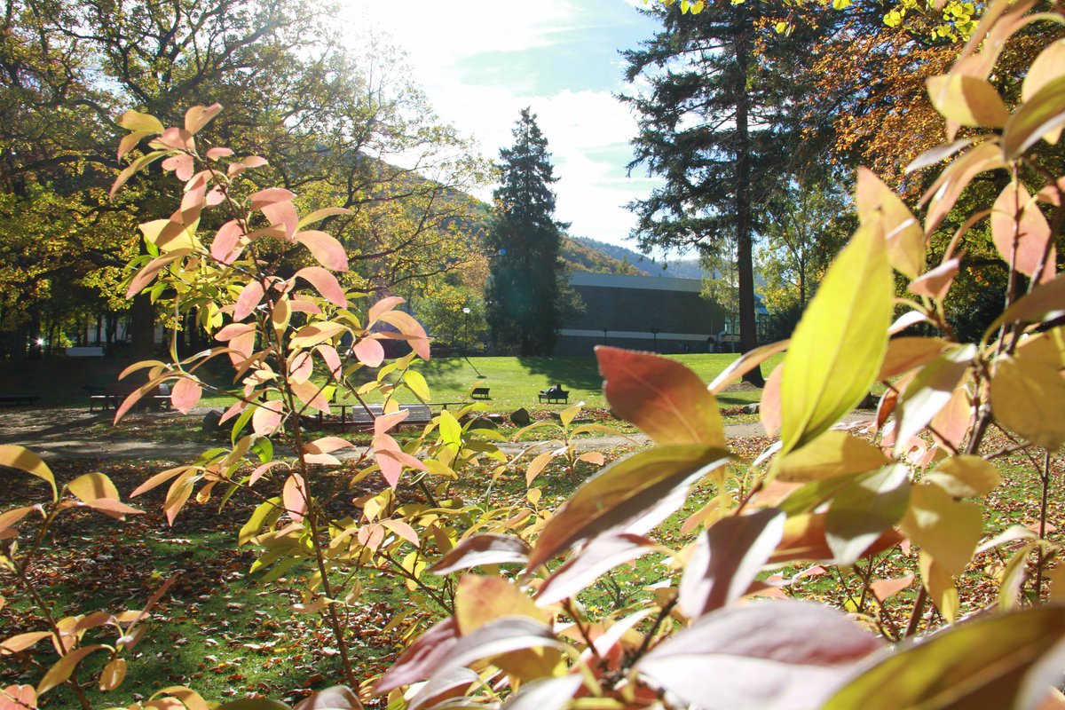 We #love #Herbst. #goldenerOktober #indiansummer #kurpark