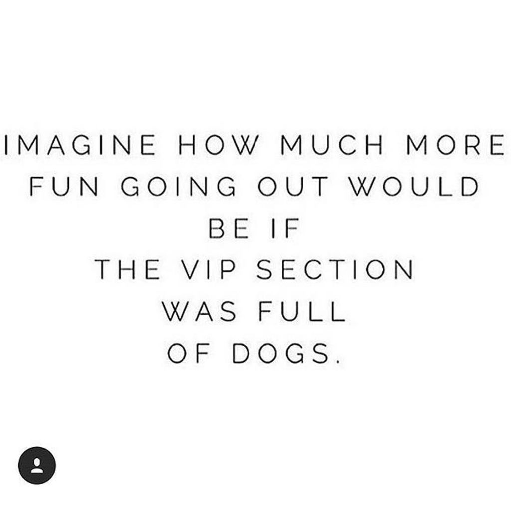 CupidCollars's tweet photo. Say no more! #crazydoglady #dogdays⠀
⠀
( 📸 @donnalouisehalliwell_x via @latermedia) https://t.co/jZ4jwfg5VB https://t.co/m6qZBrwbUV