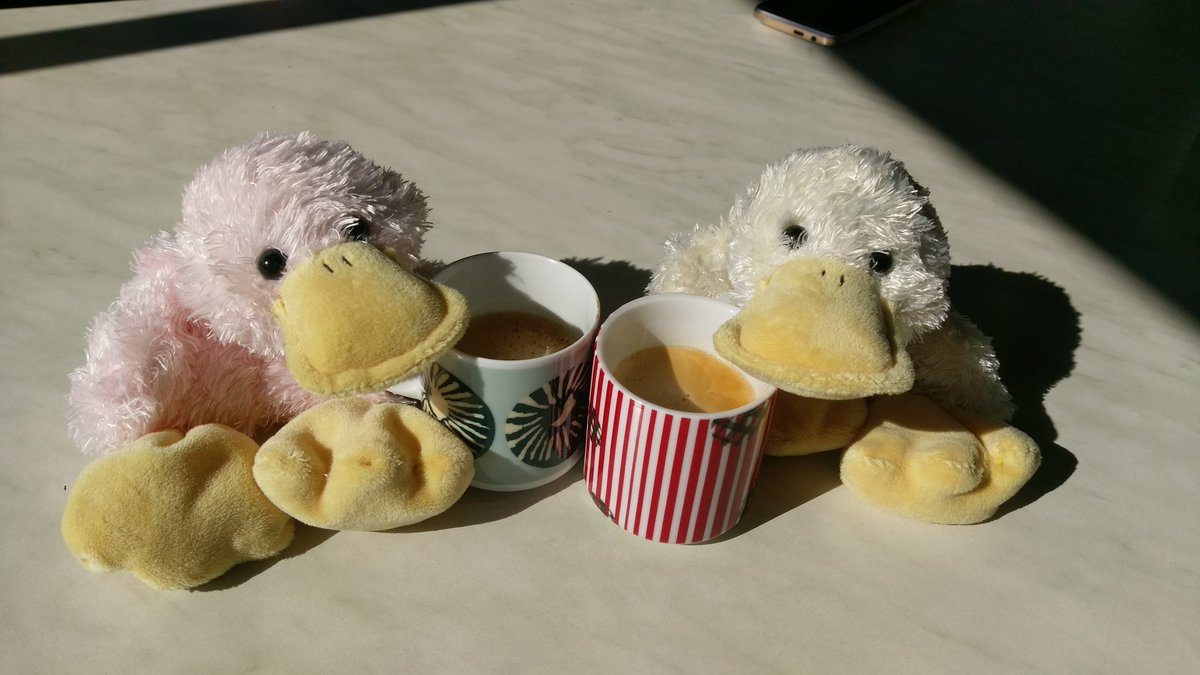PDJ_Morges's tweet photo. Coffee time pour nos business duck 😎☕ https://t.co/mudvisqN1d
