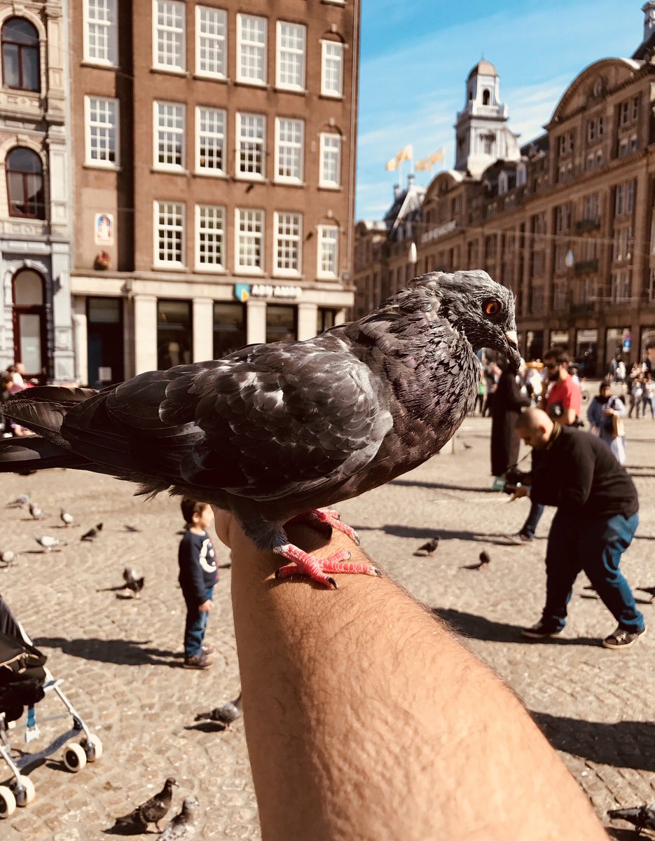 iMuhab's tweet photo. Dam Square, Amsterdam🇳🇱 https://t.co/KLbqbewmNm
