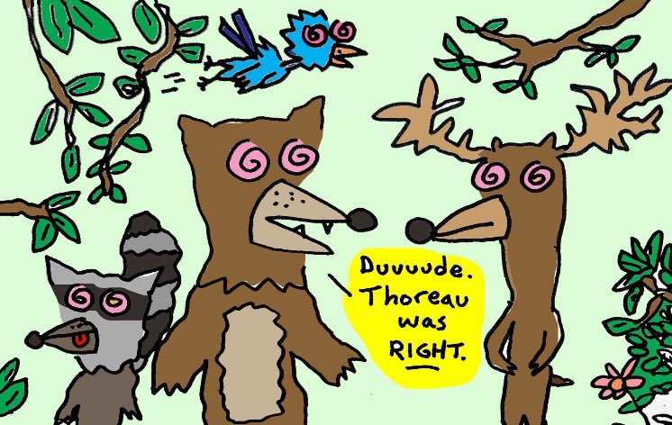 Ollie Brock tweet media