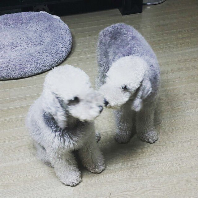 DEFTINY__'s tweet photo. #โรงเรียนเวทย์มนต์ ตอนที่ 12
https://t.co/FetxnUcCcw
#คุณปู่บ่ายสอง #okkay #taeckim #taecmin #got7 https://t.co/RLgJiqCU7S