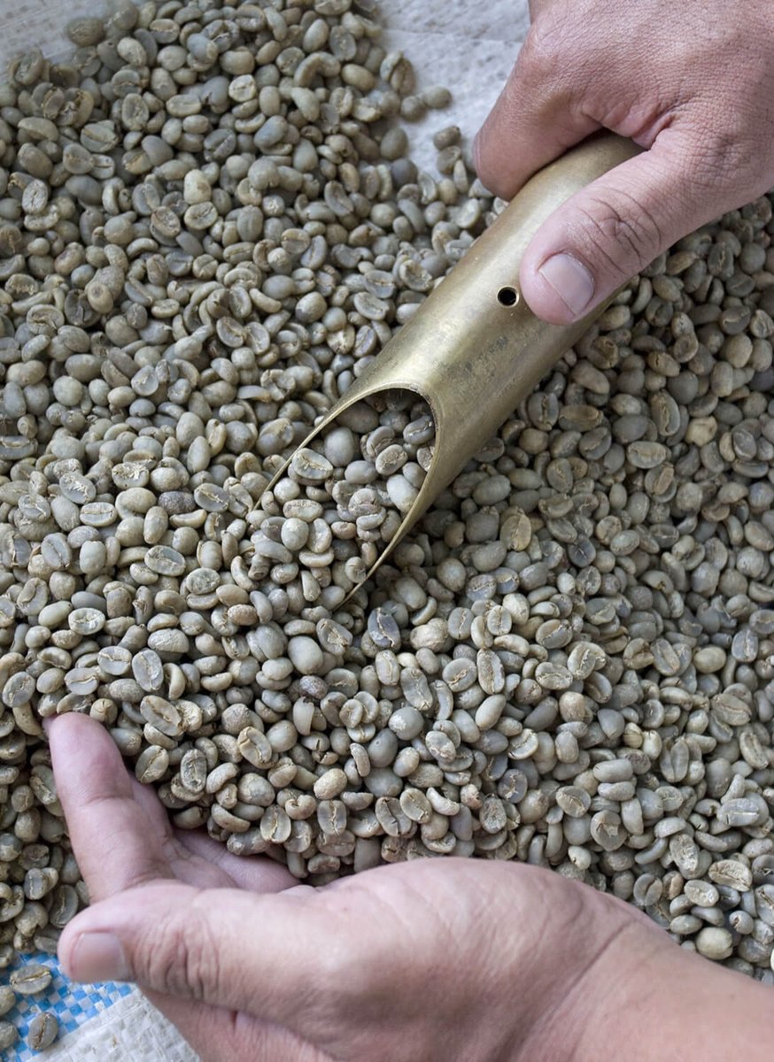 CoffeeCoMission's tweet photo. Part 1: The Coffee Co-Mission What and Why, For Roasters. https://t.co/r7uhPYADDP "We are rolling out a distribution network that will see a stock of green beans located within a 3 hour drive from almost every roaster in North America..." #TradeHonestly #coffeeroaster #greenbean https://t.co/ewjF0Cza8l