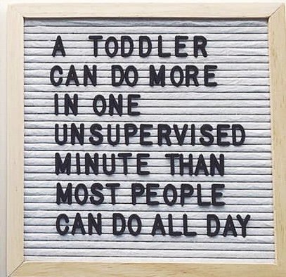 Cuddle Case (@CuddleCase) / Posts / X