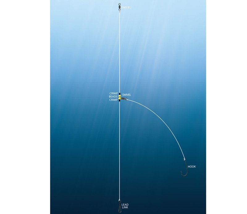 Total Sea Fishing tweet media