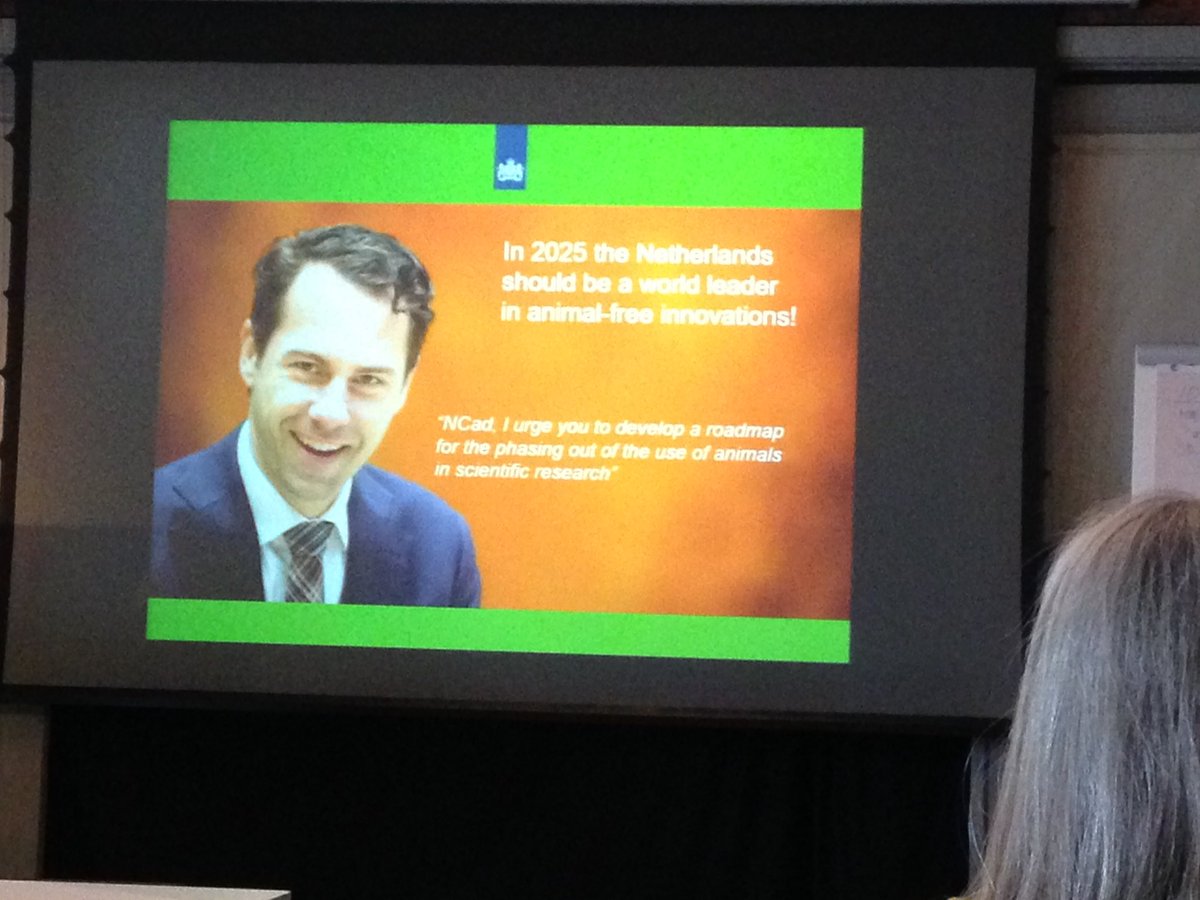 CamillaBjorkbom's tweet image. The Dutch government asked what are we waiting for? How can we phase out animal research? #nyametoder