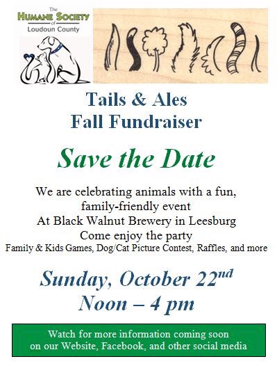 LoCoEntertain's tweet photo. SUNDAY Tails & Ales Fall Fundraiser at @BlackWalnutBrew for @HumaneLoudoun #LoudounCounty #BeerAndTails https://t.co/G63IslXA14