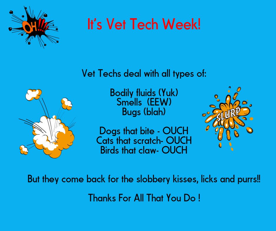 AHofFairfield's tweet photo. @AHofFairfield @LincolnAveCat With thanks to all you do! Vet Techs week!!#veterinarian#technicians#cats#dogs#exotics#wedoitall! https://t.co/FPPmMgmDvZ