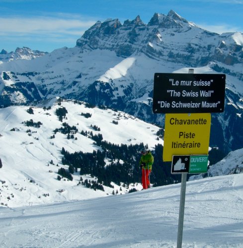 planetski's tweet photo. How to #ski your first black run safely https://t.co/uftPcxomVm @snowtrex_ski #winteriscoming #winter1718 #snowtrex #breathe #hocketstop https://t.co/pMsCDp4qtW