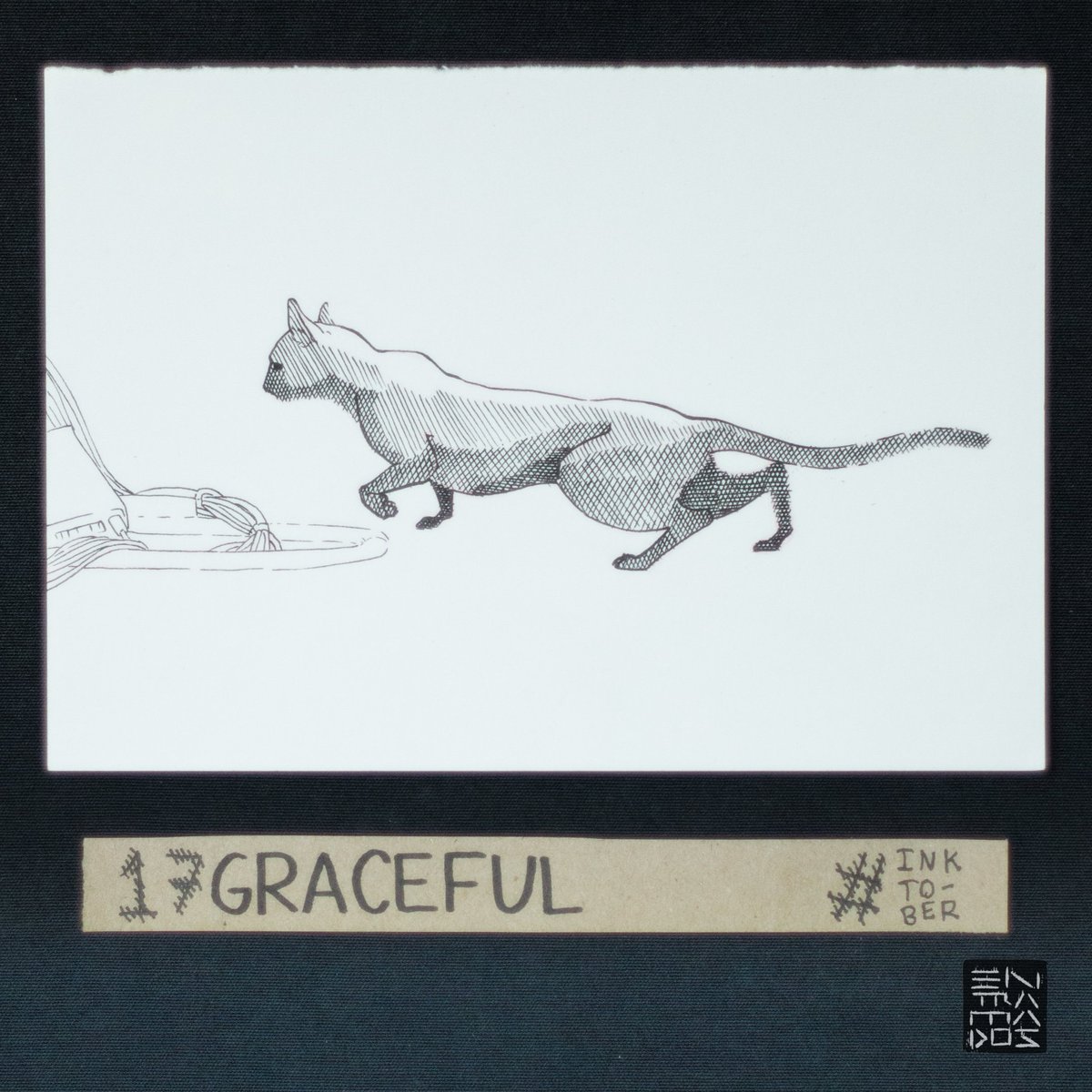 Entramados_Co's tweet photo. 17. GRACEFUL #inktober #inktober2017 https://t.co/P6vJU9gH6Q