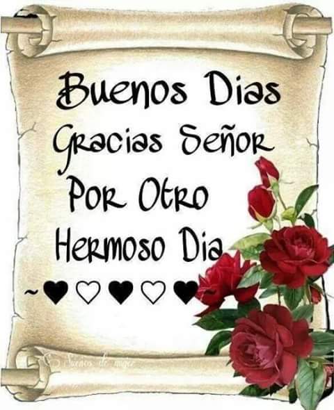 Ji120Jose's tweet photo. Feliz Martes... https://t.co/LtAl8kWdeF