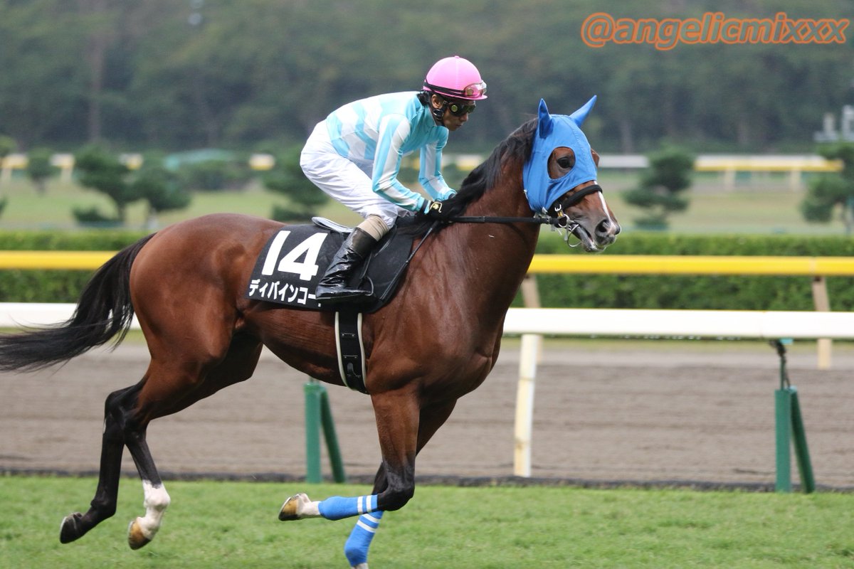 ディバインコード