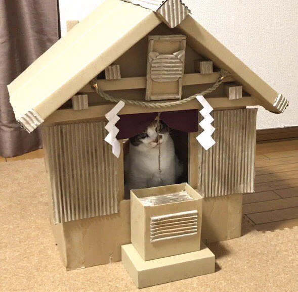 猫神様の神社は段ボール製ｗ母が作成した段ボール神社のクウォリティ高すぎｗｗｗ