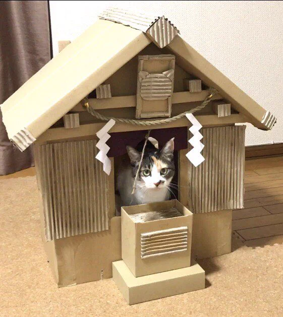猫神様の神社は段ボール製ｗ母が作成した段ボール神社のクウォリティ高すぎｗｗｗ