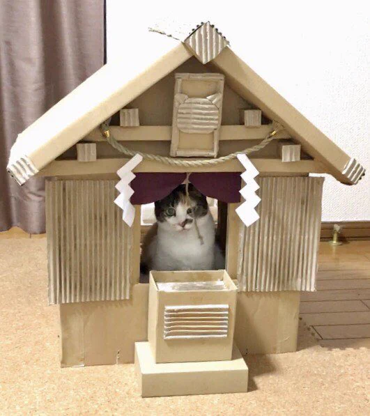 猫神様の神社は段ボール製ｗ母が作成した段ボール神社のクウォリティ高すぎｗｗｗ