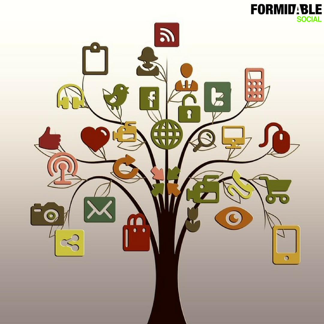 formidablebrand's tweet photo. Are you looking for Social Media Management? We have a solution for you! https://t.co/6yMMfRev8t is your answer #Social #Media #Formidable https://t.co/T5S8c0aJsm