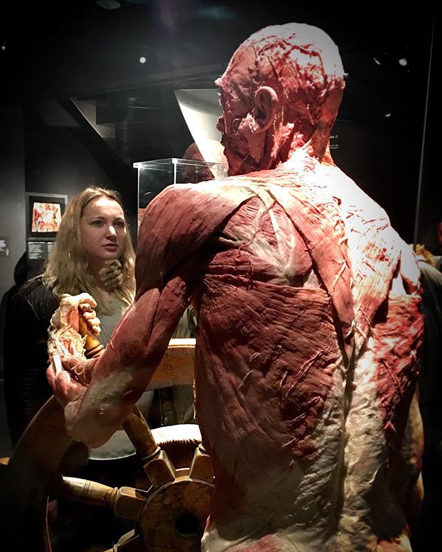 BodyWorldsAms's tweet photo. Learn everything you've ever wanted to know about the human anatomy while seeing real anatomical models. Tickets: https://t.co/wpQ9uyErM0 https://t.co/8KiG4Jc4cQ