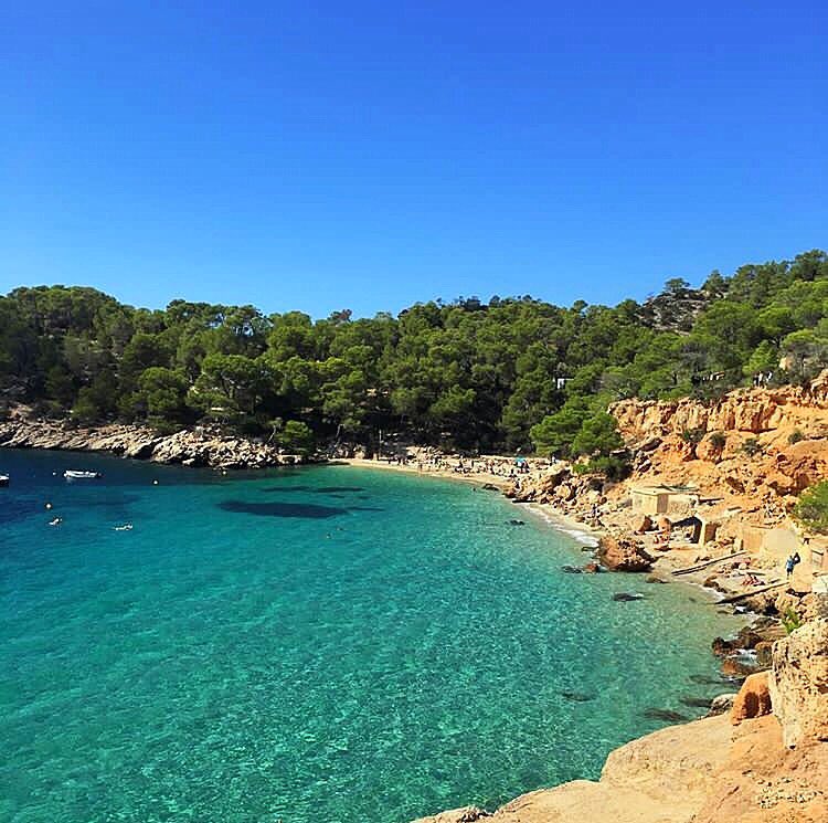 drinkhomeibiza's tweet photo. Amazing warm days in #ibiza 🔥💦 https://t.co/27K86Zx870
