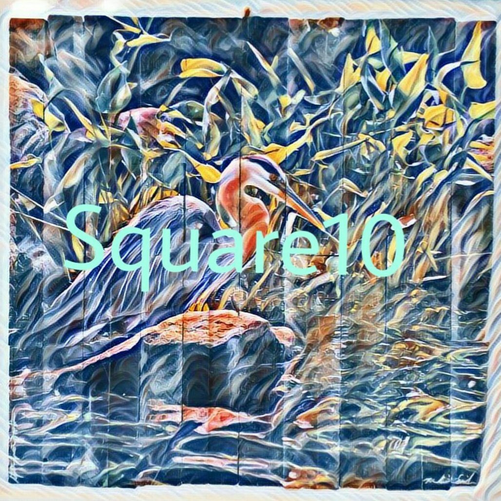 KristensenSmith's tweet photo. Gift idea! Custom reclaimed wood photographic prints #photography #reclaimedwood #shopsmall #couponcode #Square10 #ordernow #giftideas https://t.co/z1ldcKINu6