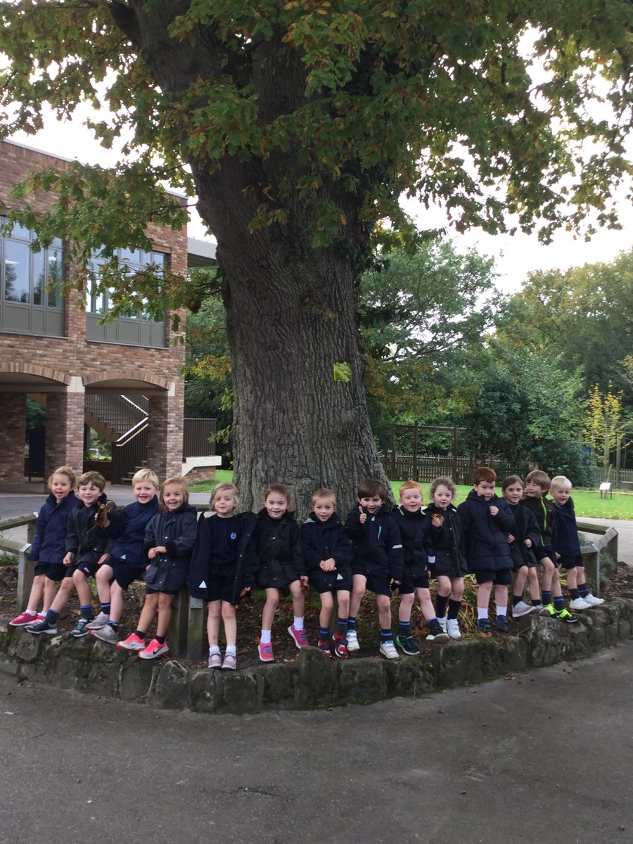 HolmewoodOnline's tweet photo. Reception went in search of all things autumnal for their #AutumnKitchen and #AutumnPrints this morning. https://t.co/pF3Cd37le5