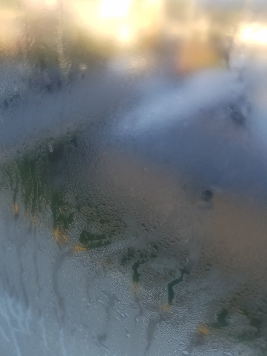 Shmohn's tweet photo. Morning from the Park. Have a golden day, everyone. #frostedwindow https://t.co/7RsE0QNvqS