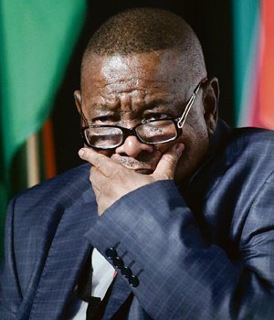 "Hayibo le chap u Zuma"
