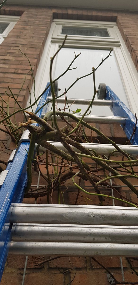 copypaint tweet media