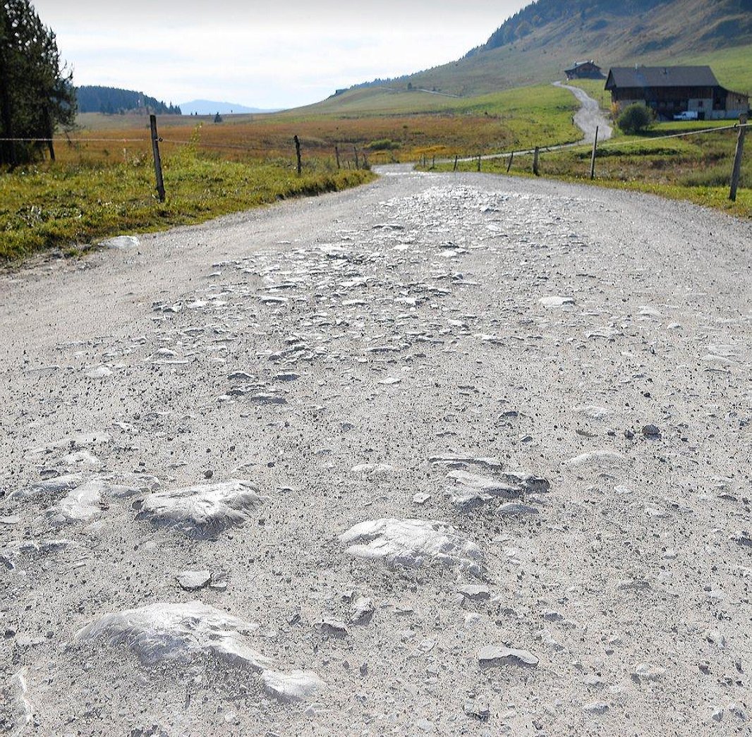 jmarcgaillard's tweet photo. Génial, @LeTour et @letapedutour passent au Plateau des Glières !! Ascension et paysages👍 !! Venez vous entraîner cet hiver sur les skis ! 😉 https://t.co/E0IdvmOoES