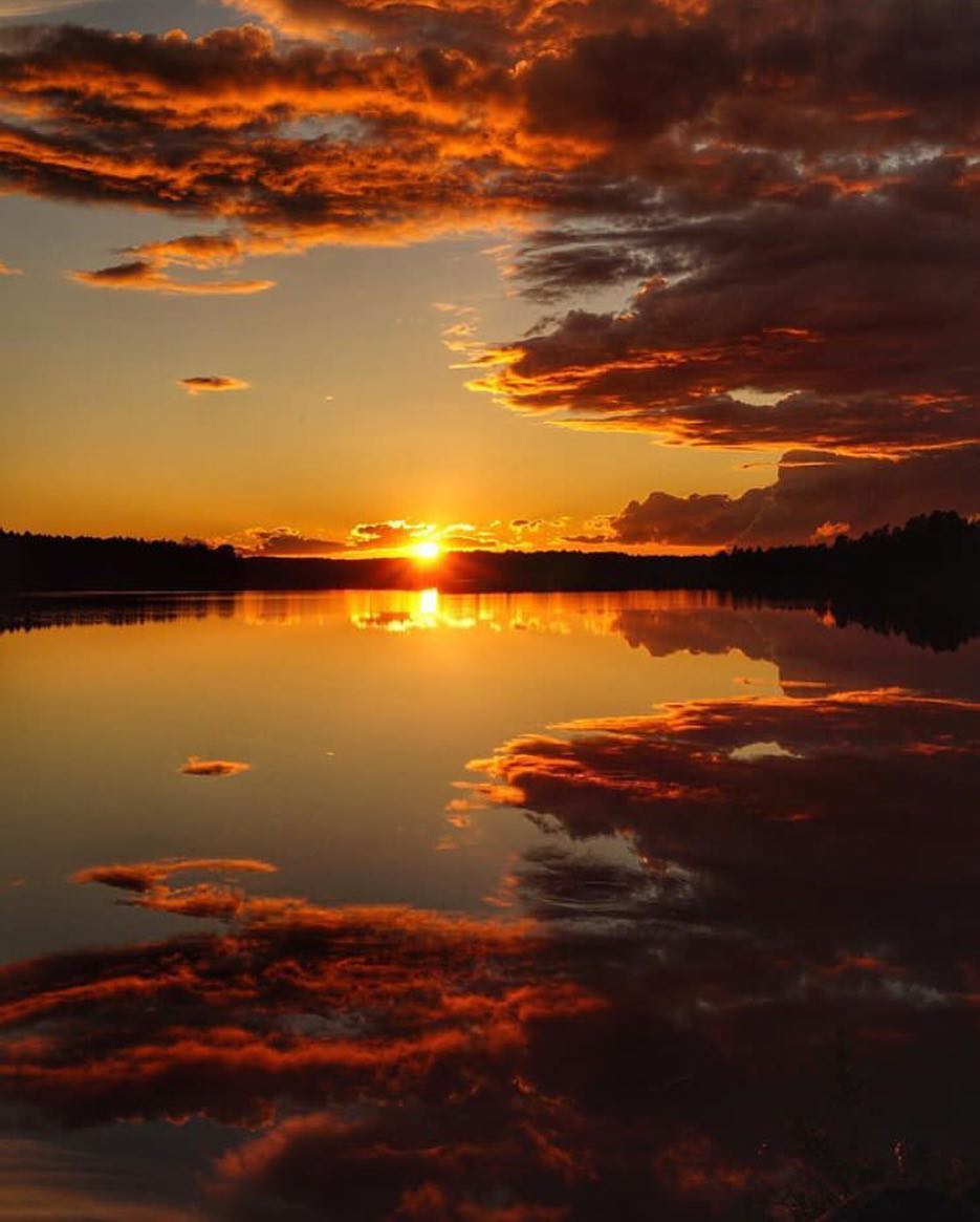 iloveplaneta's tweet photo. Golden Sunsets in Sweden 
#MaisPlaneta #PlusPlanet
Photo by © @katharinasfoto https://t.co/3jbhDDIbbU