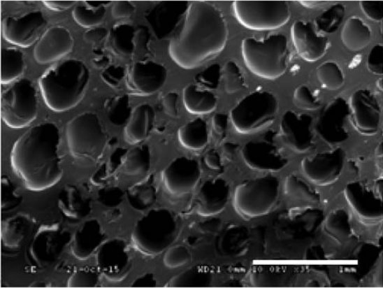 P_Krawczak's tweet photo. #Extrusion: #Foaming of #biobased #thermoplastics / Moussage de thermoplastiques biosourcés @IMTLilleDouai @IFMAS_RD https://t.co/Zh2JMaNcRK https://t.co/QSGbW9eoti