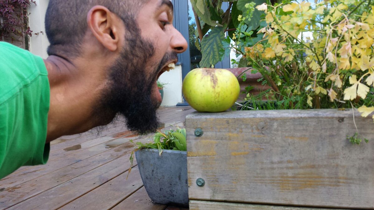 GleaningLDN's tweet photo. #knockknock! Looking for volunteers to find tree owners w/ surplus fruit in #HACKNEY &amp; #harringay email james@feedbackglobal.org 4 more info https://t.co/rAbGb2oQoH