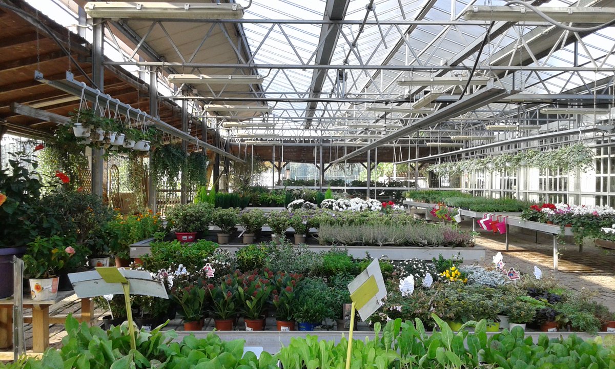triphylla's tweet photo. DOVE TROVI @triphylla ?
Se ci stai cercando a MILANO ci trovi nello splendido garden dei #GiardiniGalbiati -> https://t.co/WHHoBOpRkv https://t.co/geTjaKuUPf
