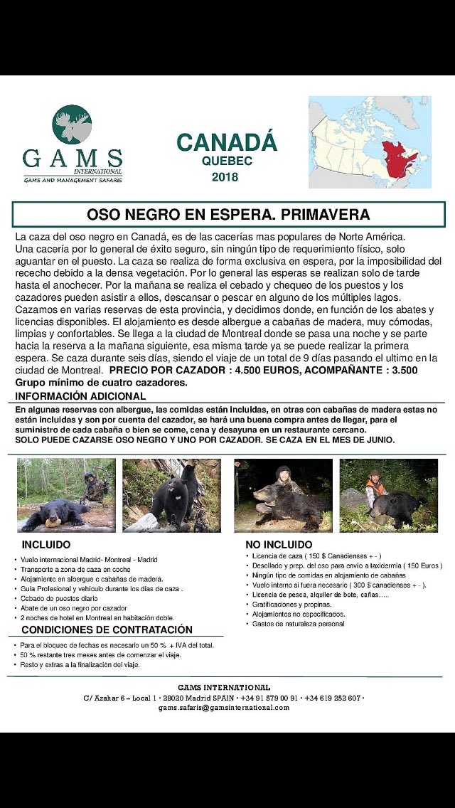 Caza en espera de oso negro en Quebec, Canada. Junio 2018, ya estamos cerrando el primer grupo, si estas interesado, contacta con nosotros.