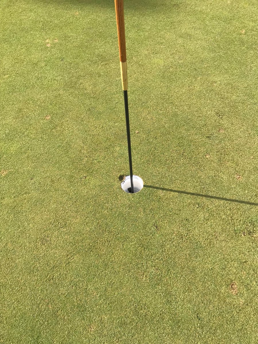 Sarah Rhee destroys the cup on hole 4, balls rolls down the hill and off the green. No worries, chip and a putt for par.