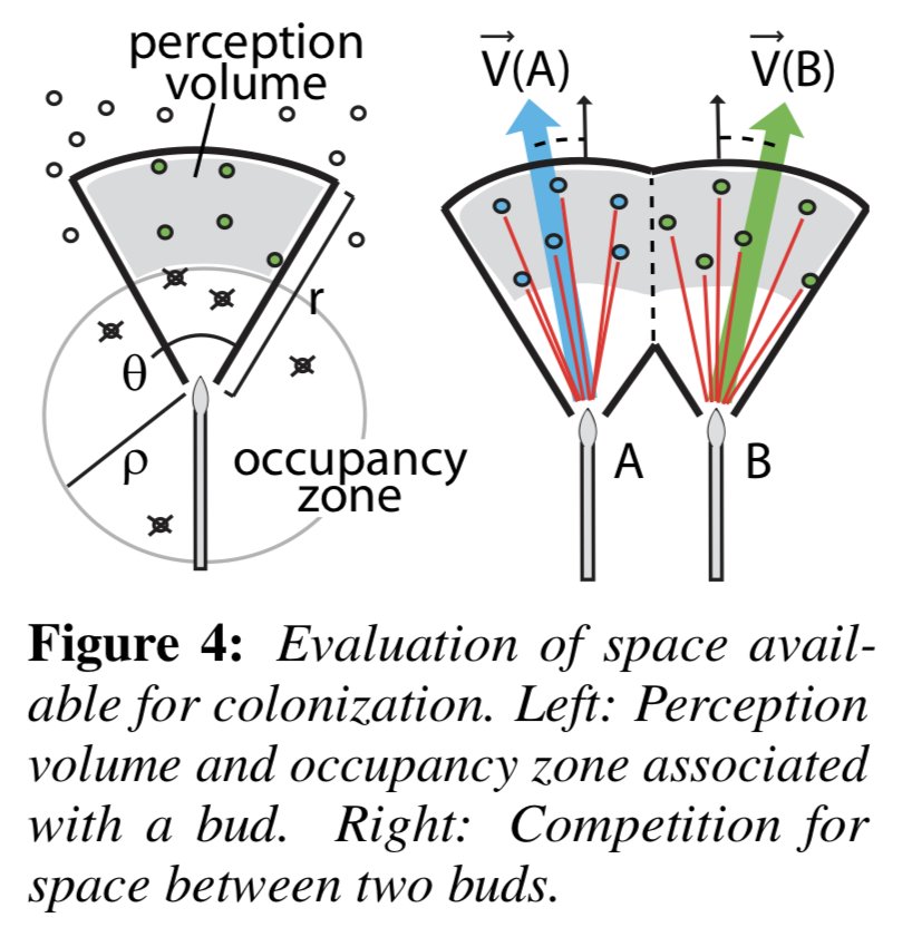 algoritmic's tweet photo. Self-organizing tree models for image synthesis https://t.co/hQNZFoIxcs https://t.co/KfG9fZoyHo