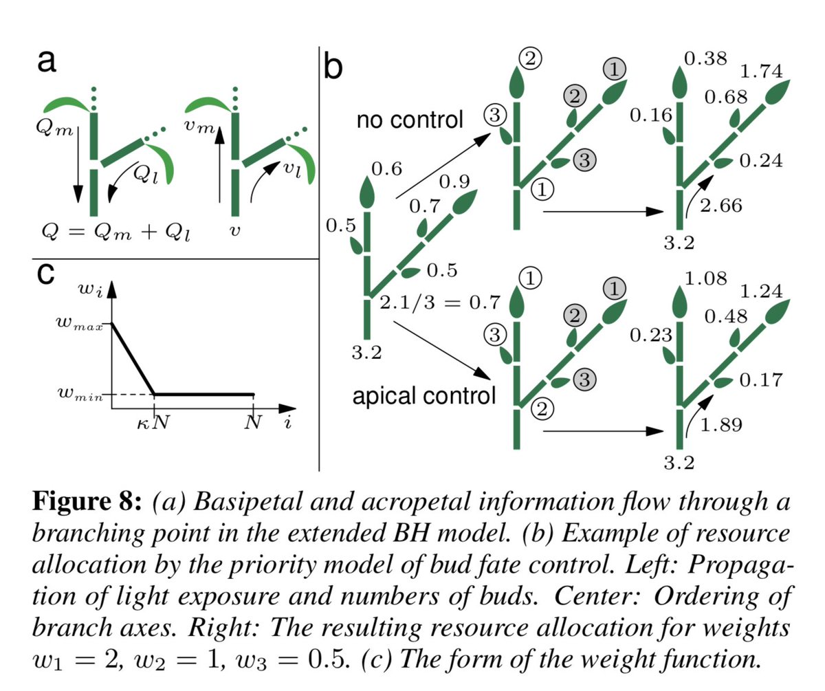 algoritmic's tweet photo. Self-organizing tree models for image synthesis https://t.co/hQNZFoIxcs https://t.co/KfG9fZoyHo