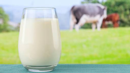 arfaamjadd's tweet photo. #Dairy products are amongst the most important of all traded #Food product
#agricoforms #Future Menu https://t.co/4MzTlseGq6