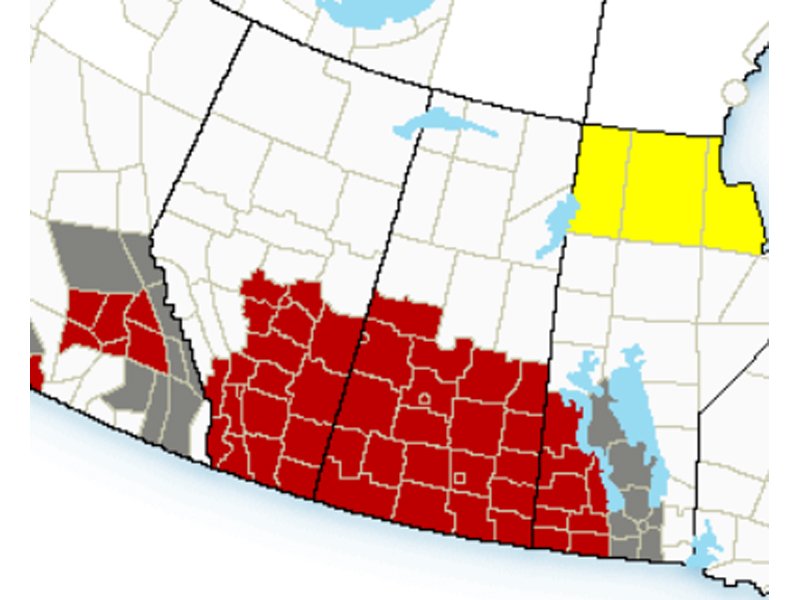 Wind Warnings for the Prairies dlvr.it/Pw9tZ0 https://t.co/9VuDuMAdFi