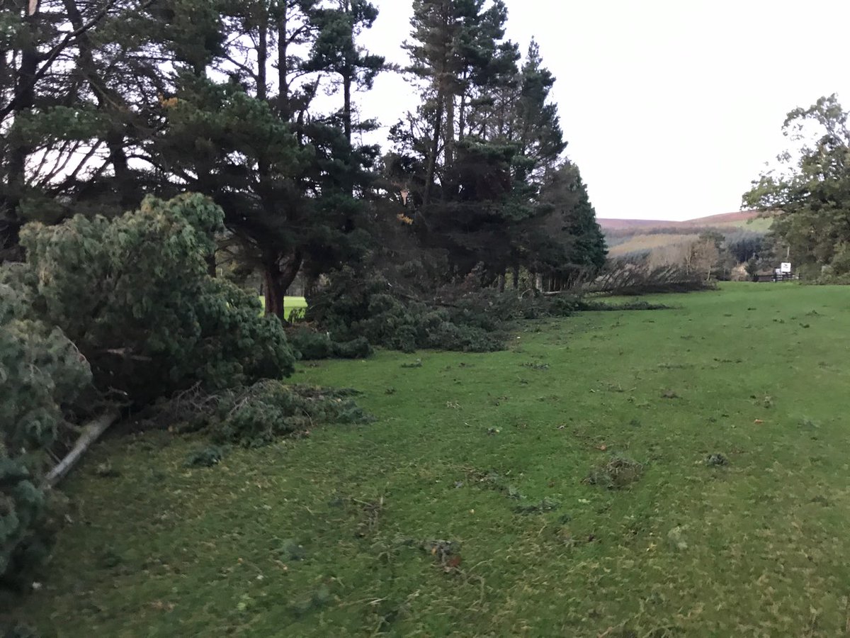clonmelgolfclub's tweet photo. Thanks to everyone involved in the clean up after #Ophelia https://t.co/3q0mjlclBP