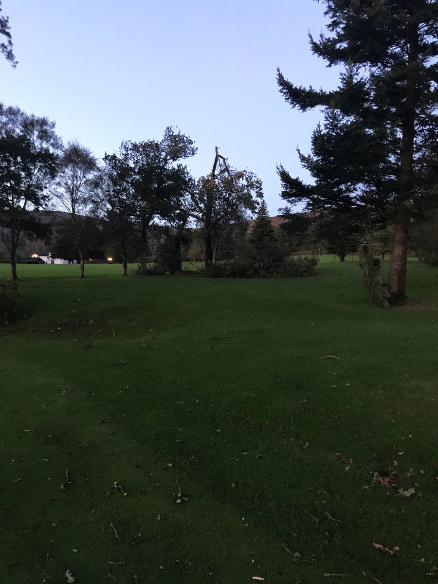 clonmelgolfclub's tweet photo. Some more pics of the damage and debris left following storm #Ophelia https://t.co/uxydYiV4ps