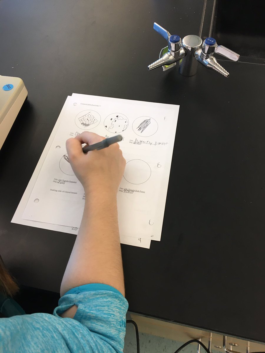 MrCarracappa's tweet photo. Wonderful lesson utilizing the MICROSCOPE to see which predator has a higher rate of consumption of paramecium. #UMbio #UMlearns https://t.co/IB32MPAbWA